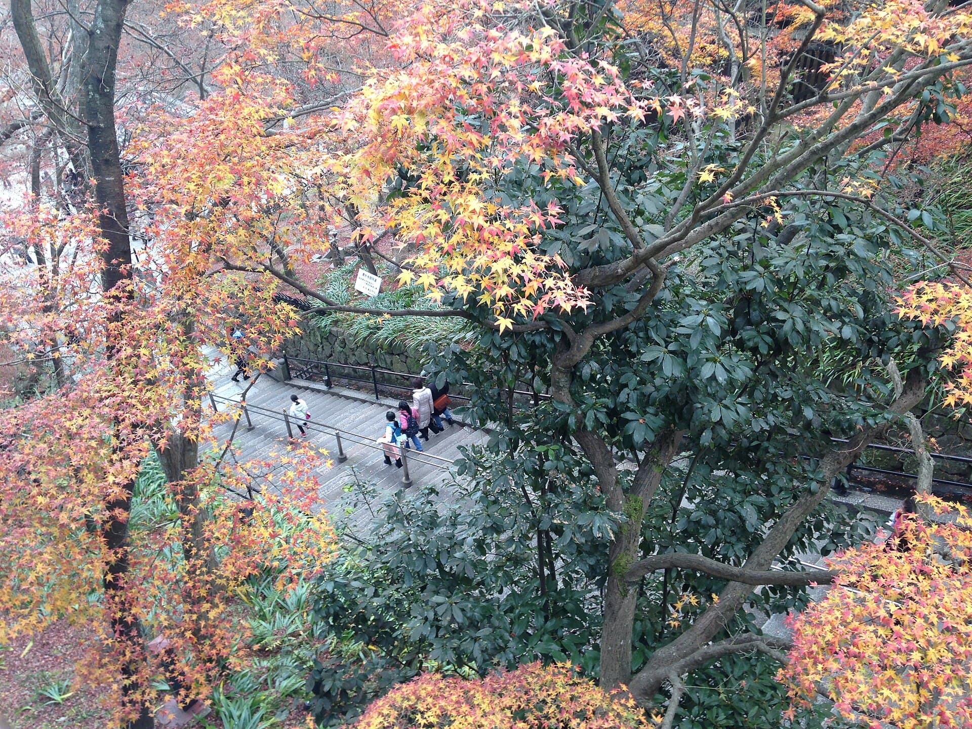 Review image kyoto